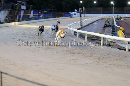 mayaction_588.JPG - (C)S.FARNDON