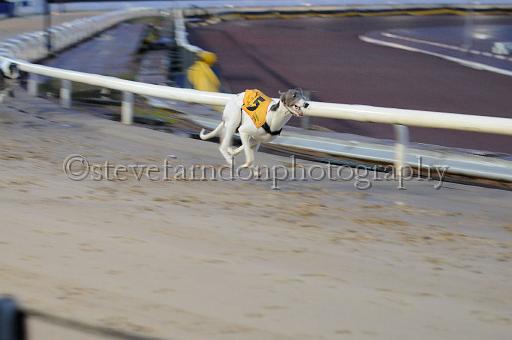 mayaction_590.JPG - (C)S.FARNDON
