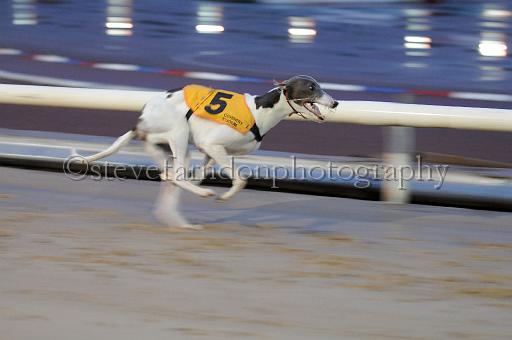 mayaction_592.JPG - (C)S.FARNDON