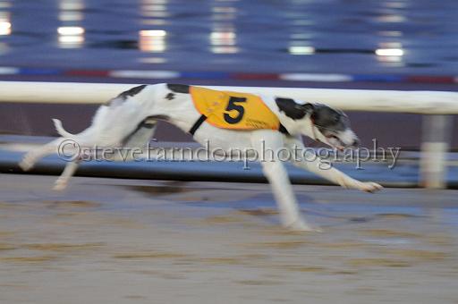 mayaction_593.JPG - (C)S.FARNDON