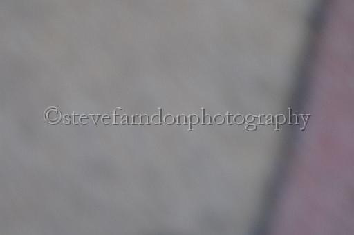 mayaction_594.JPG - (C)S.FARNDON