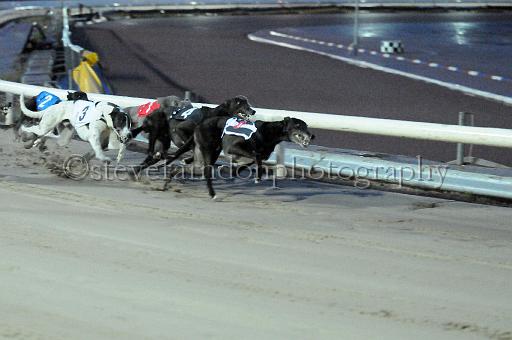 mayaction_596.JPG - (C)S.FARNDON