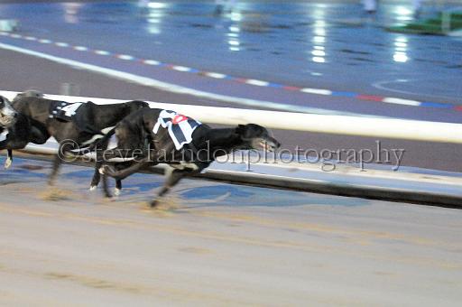 mayaction_597.JPG - (C)S.FARNDON