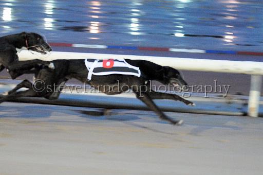 mayaction_598.JPG - (C)S.FARNDON