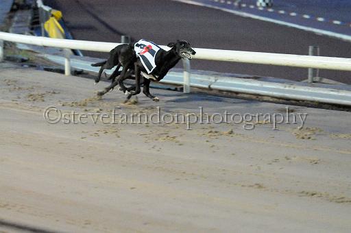 mayaction_602.JPG - (C)S.FARNDON