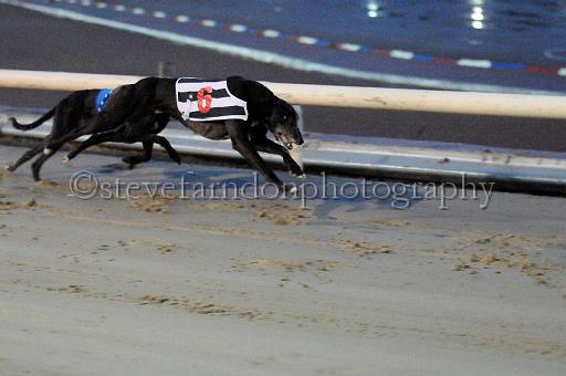 mayaction_603.JPG - (C)S.FARNDON