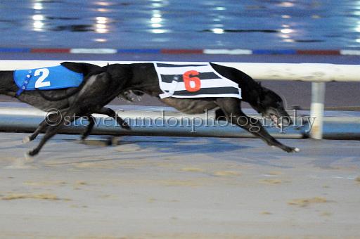 mayaction_605.JPG - (C)S.FARNDON