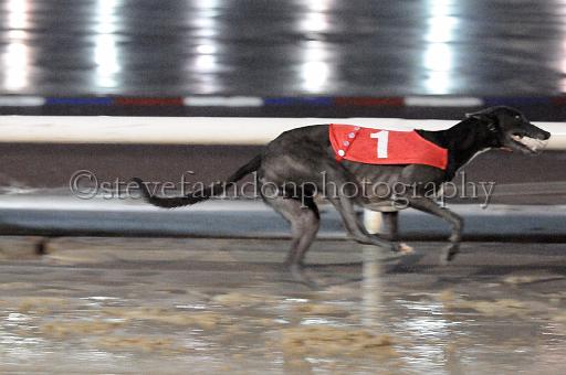 mayaction_618.JPG - (C)S.FARNDON