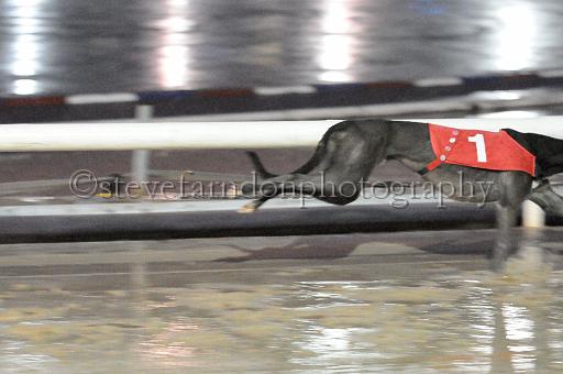 mayaction_619.JPG - (C)S.FARNDON