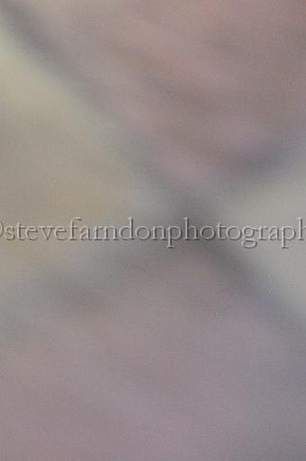 mayaction_620.JPG - (C)S.FARNDON