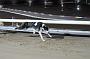 mayaction_463