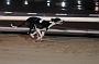 mayaction_464