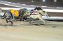 mayaction_474