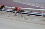 mayaction_497