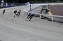 mayaction_520
