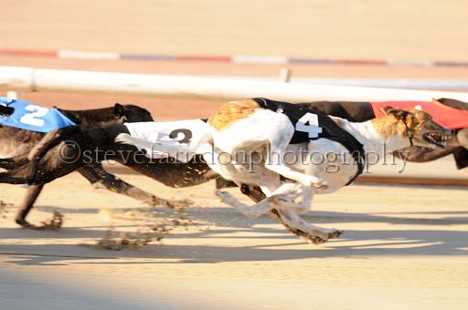 mayaction_625.JPG - (C)S.FARNDON
