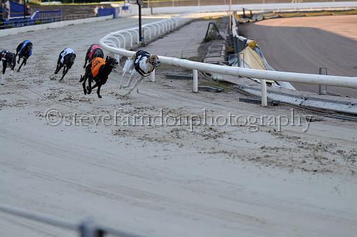 mayaction_627.JPG - (C)S.FARNDON