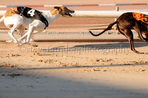mayaction_631.JPG - (C)S.FARNDON