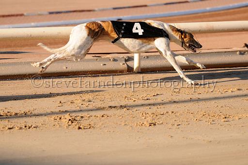 mayaction_632.JPG - (C)S.FARNDON