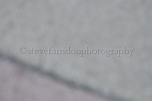 mayaction_633.JPG - (C)S.FARNDON