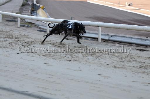 mayaction_636.JPG - (C)S.FARNDON