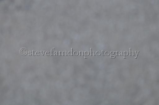 mayaction_639.JPG - (C)S.FARNDON