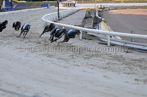 mayaction_641.JPG - (C)S.FARNDON