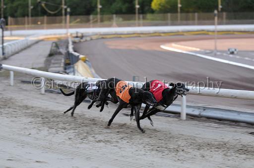 mayaction_677.JPG - (C)S.FARNDON