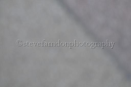 mayaction_679.JPG - (C)S.FARNDON
