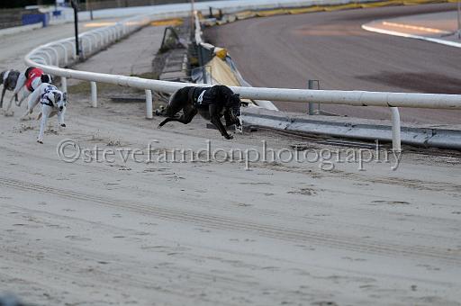 mayaction_681.JPG - (C)S.FARNDON