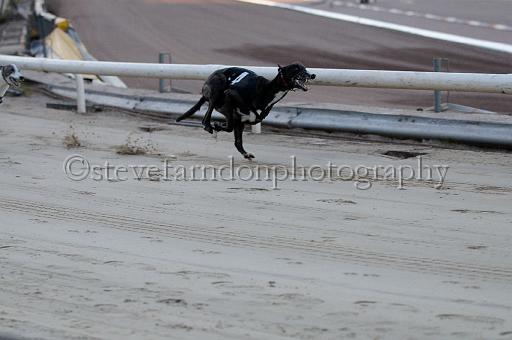 mayaction_682.JPG - (C)S.FARNDON
