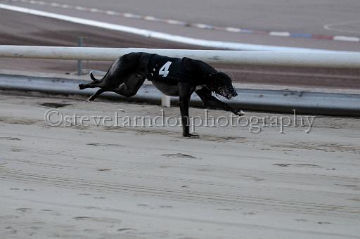 mayaction_683.JPG - (C)S.FARNDON