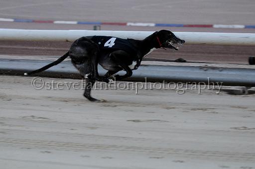 mayaction_684.JPG - (C)S.FARNDON