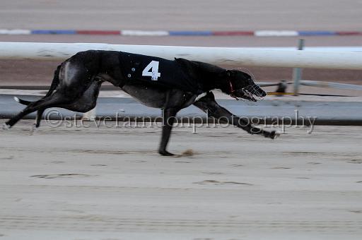 mayaction_685.JPG - (C)S.FARNDON