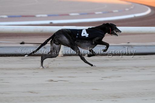 mayaction_686.JPG - (C)S.FARNDON