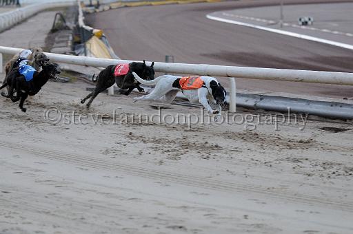 mayaction_688.JPG - (C)S.FARNDON