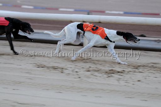 mayaction_690.JPG - (C)S.FARNDON