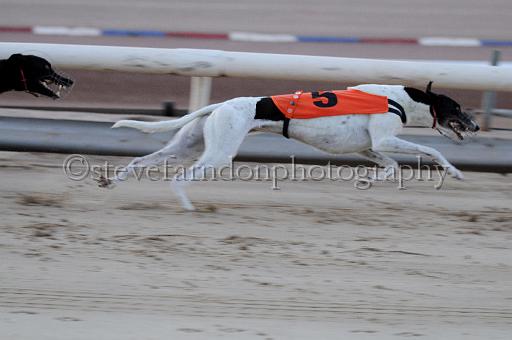 mayaction_691.JPG - (C)S.FARNDON
