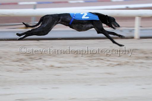 mayaction_699.JPG - (C)S.FARNDON