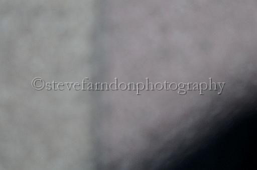 mayaction_700.JPG - (C)S.FARNDON