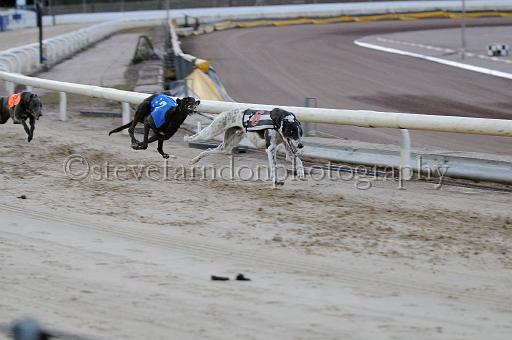 mayaction_702.JPG - (C)S.FARNDON