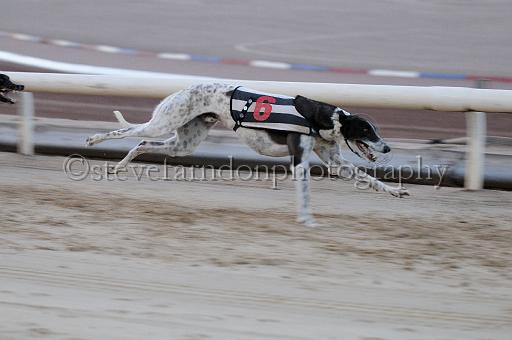 mayaction_704.JPG - (C)S.FARNDON