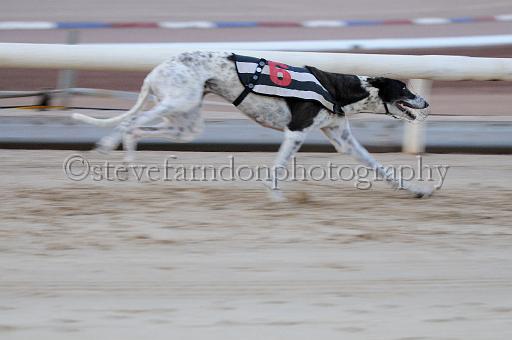 mayaction_706.JPG - (C)S.FARNDON