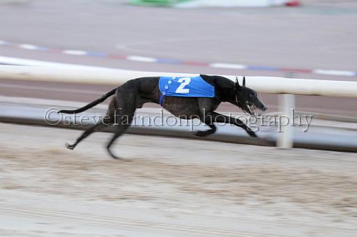 mayaction_711.JPG - (C)S.FARNDON