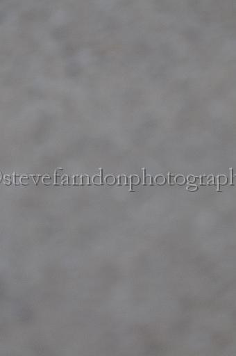 mayaction_717.JPG - (C)S.FARNDON