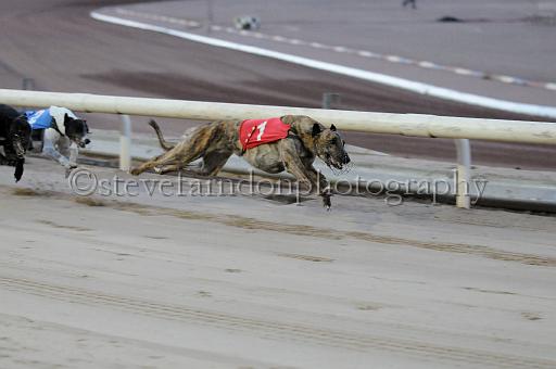mayaction_720.JPG - (C)S.FARNDON