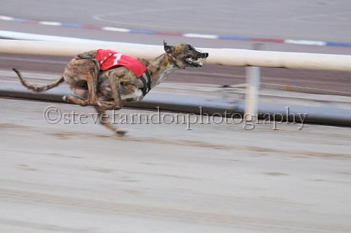 mayaction_721.JPG - (C)S.FARNDON
