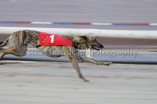 mayaction_722.JPG - (C)S.FARNDON