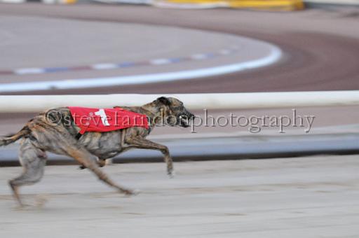 mayaction_723.JPG - (C)S.FARNDON