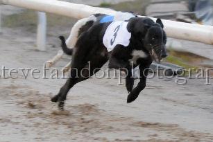 mayaction_728.JPG - (C)S.FARNDON